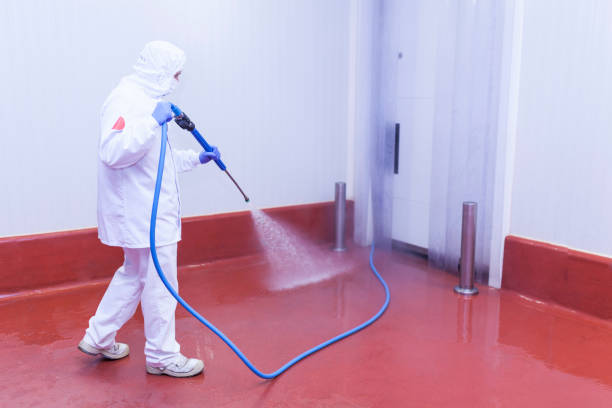 Post-Construction Pressure Washing in Saltillo, MS